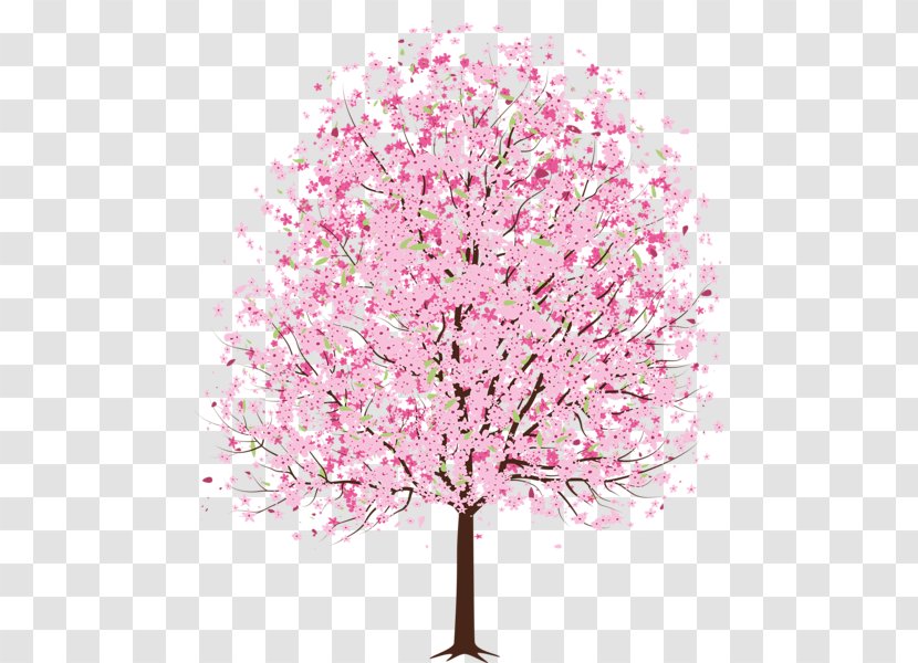 Cherry Blossom Clip Art - Twig - Spring Trees Cliparts Transparent PNG