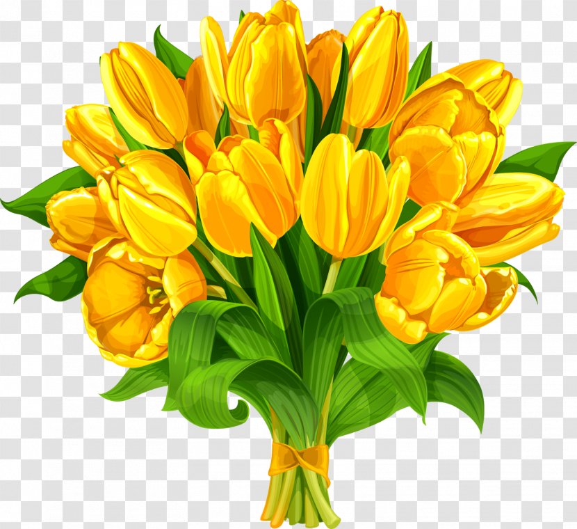 Flowers Background - Flower Bouquet - Flowerpot Crocus Transparent PNG