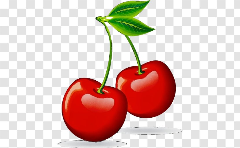 Natural Foods Cherry Plant Fruit Leaf - Food - Tree Flowering Transparent PNG