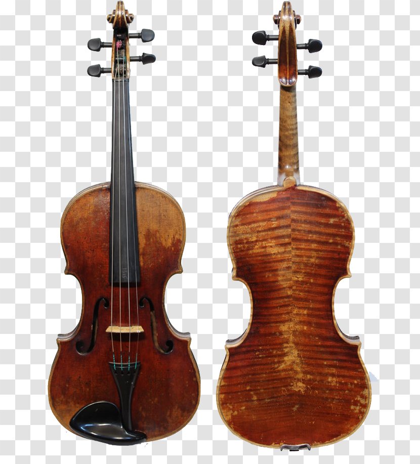Cremona Violin Guarneri Amati String Instruments - Bowed Instrument - Player Transparent PNG