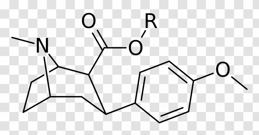 Dichloropane RTI-55 Phenyltropane RTI-31 Stimulant - Drawing - Chemical Compound Transparent PNG