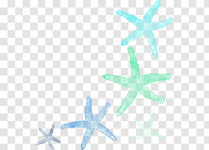 Starfish Clip Art - Organism - Seabed Vector Transparent PNG