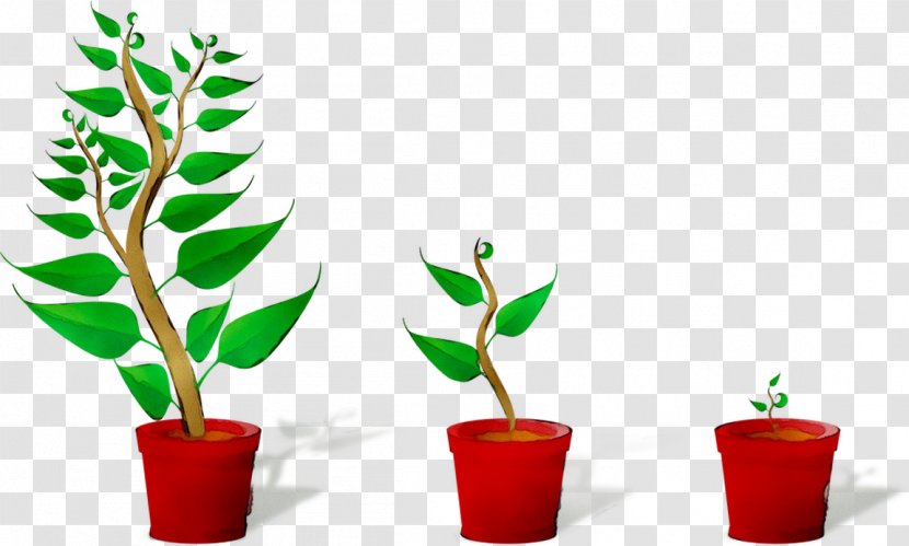 Plants Agriculture Nutrient Genetics BioBizz - Flowerpot Transparent PNG