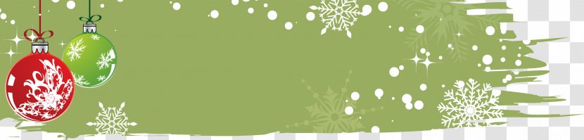 Winter Christmas Green Clip Art - Flowering Plant - Banner Creative Template Transparent PNG