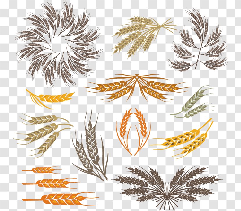 Grasses Leaf Clip Art - Produce - Wheat Color Transparent PNG