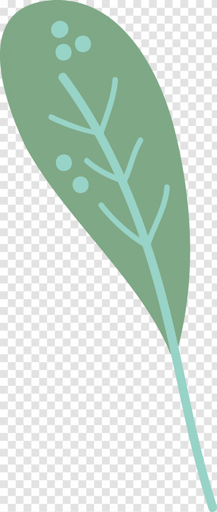 Leaf Font Teal Line Meter Transparent PNG