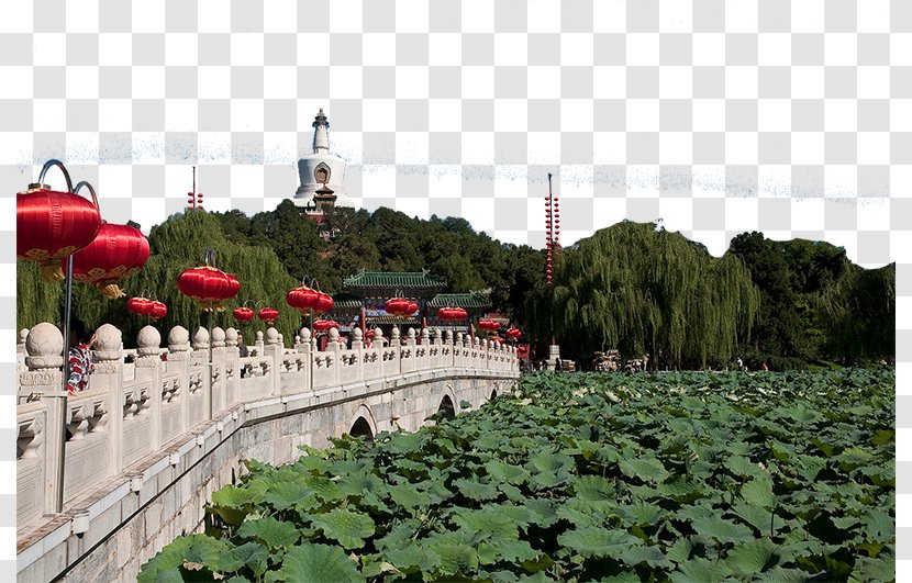 Beihai Park Odori Tourism - Fukei Transparent PNG