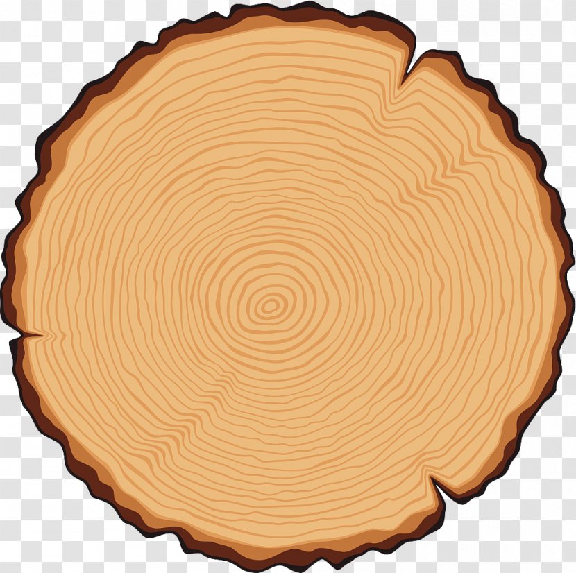 Tree Trunk Cross Section Illustration - Cutting - Wood Grain Vector Transparent PNG