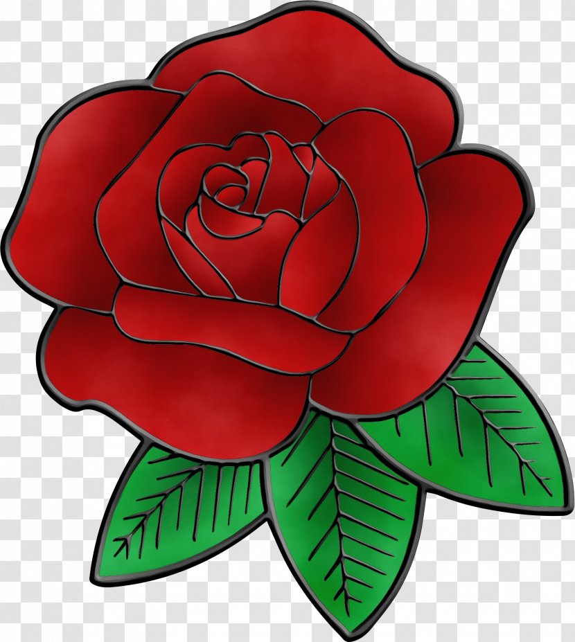 Garden Roses - Red - Hybrid Tea Rose Transparent PNG