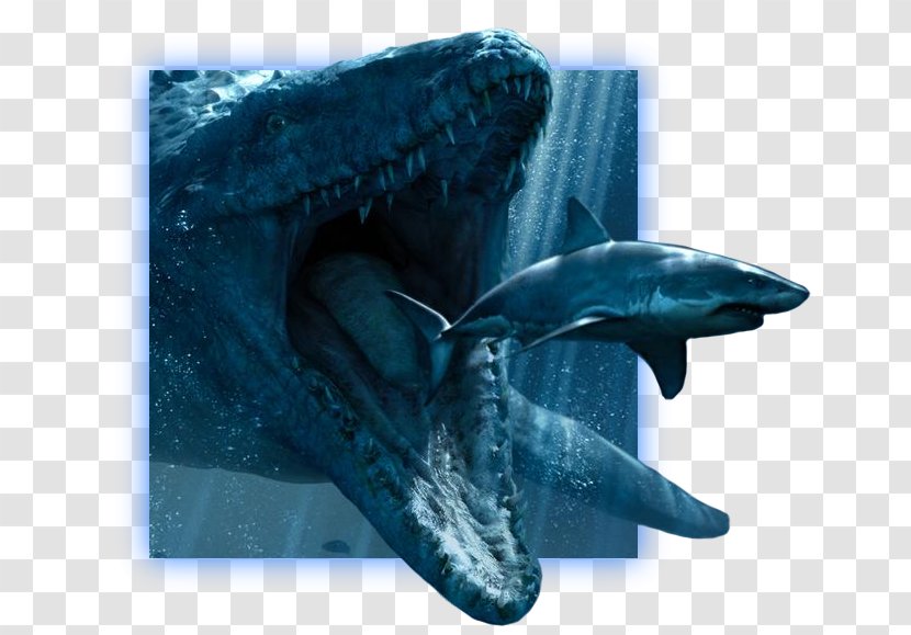 4K Resolution Desktop Wallpaper Jurassic Park YouTube High-definition Television - Dolphin - World Evolution Transparent PNG