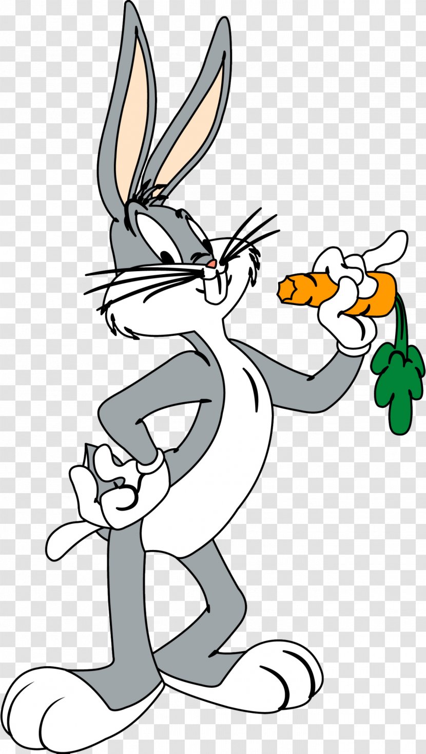 Bugs Bunny Elmer Fudd Daffy Duck Looney Tunes Cartoon - Frame Transparent PNG