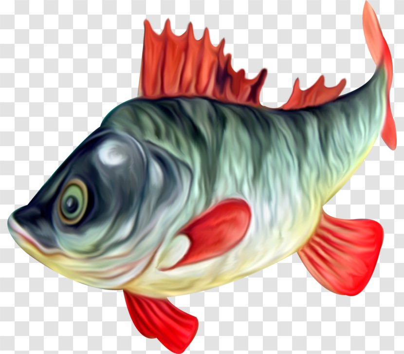 Fish - Pdf - Seafood Transparent PNG