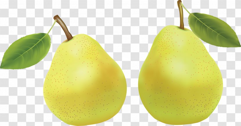 Pear Photography Clip Art - Fruit - Watercolor Fruits Transparent PNG