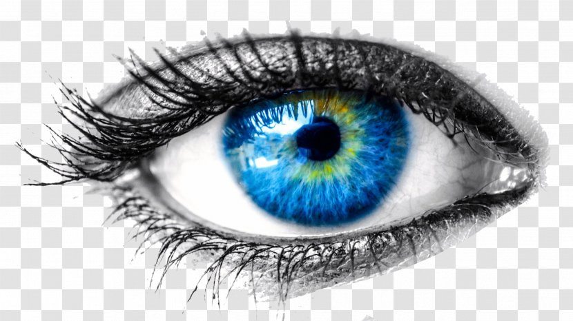 Human Eye Cornea Visual Perception Examination - Silhouette Transparent PNG