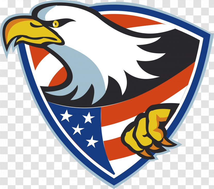 United States Bald Eagle Illustration - Flying Shield Transparent PNG