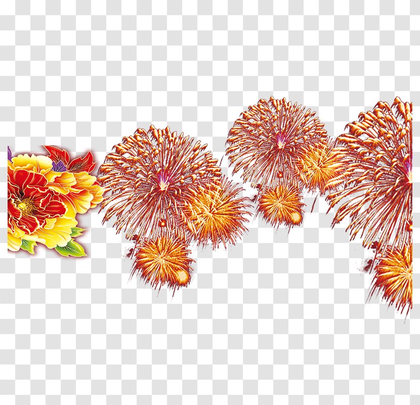 Chinese New Year Fireworks Firecracker - Chrysanths Transparent PNG
