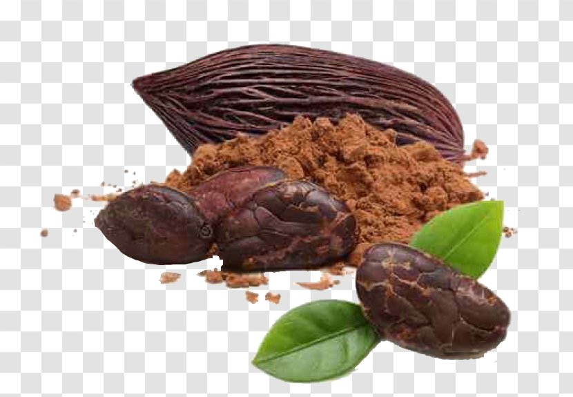 Organic Food Peruvian Cuisine Tiramisu Criollo Cocoa Bean - Dark Chocolate Transparent PNG