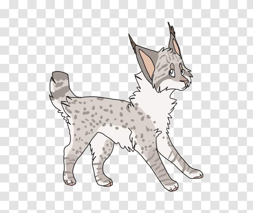 Whiskers Tabby Cat Domestic Short-haired Wildcat - Shorthaired Transparent PNG