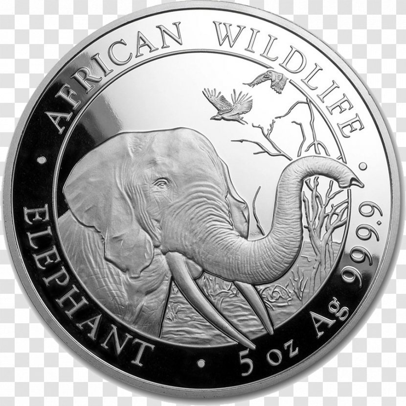 Somalia African Elephant Coin Silver Kilogram - Elephants Transparent PNG