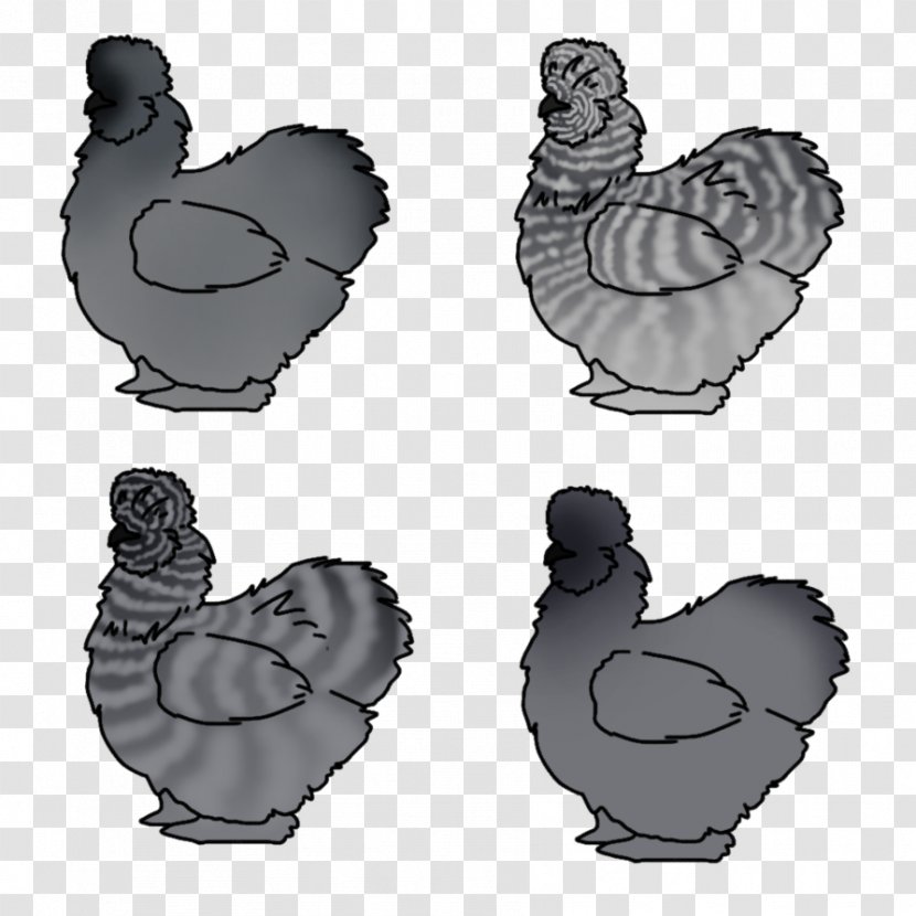 Rooster Beak Chicken As Food White Font - Poultry - Galliformes Transparent PNG