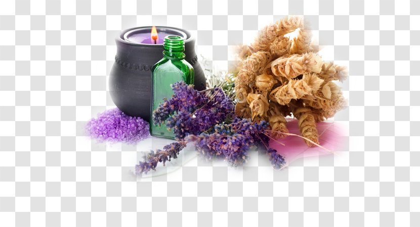 Essential Oil Aromatherapy Massage Fragrance - Purple Transparent PNG