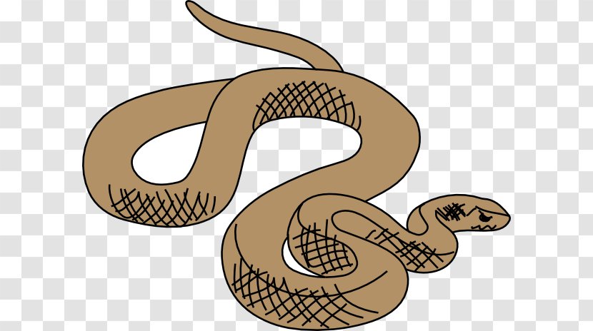 Cartoon Grass - Rattlesnake - Colubridae Snake Transparent PNG