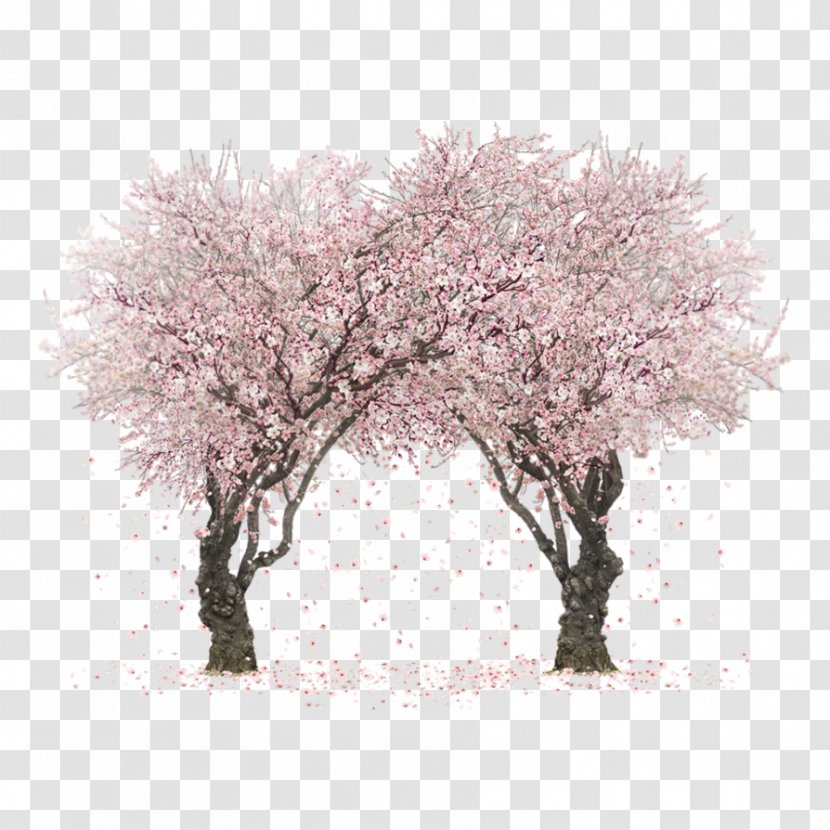 Cherry Blossom Fall Tree Clip Art - Twig Transparent PNG