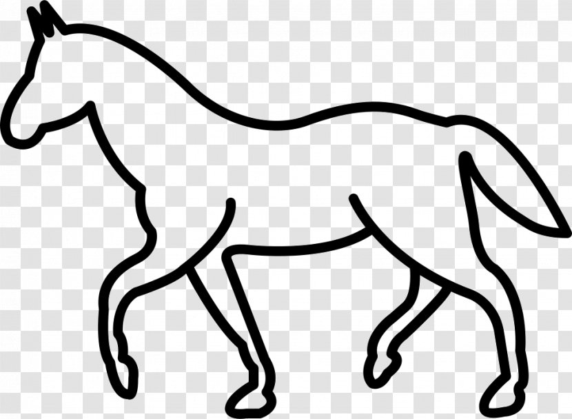 Tennessee Walking Horse White Jumping - Like Mammal Transparent PNG