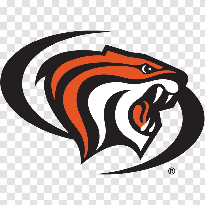 University Of The Pacific California Baptist Tigers Men's Basketball Azusa Maryland, College Park - South China Tiger Pictures Transparent PNG