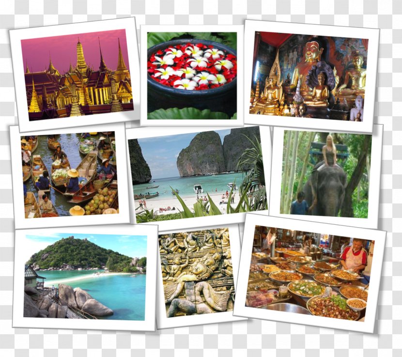 Map Nang Yuan Island Photomontage Collage Paper - Square Kilometer - Thailand Tourism Transparent PNG