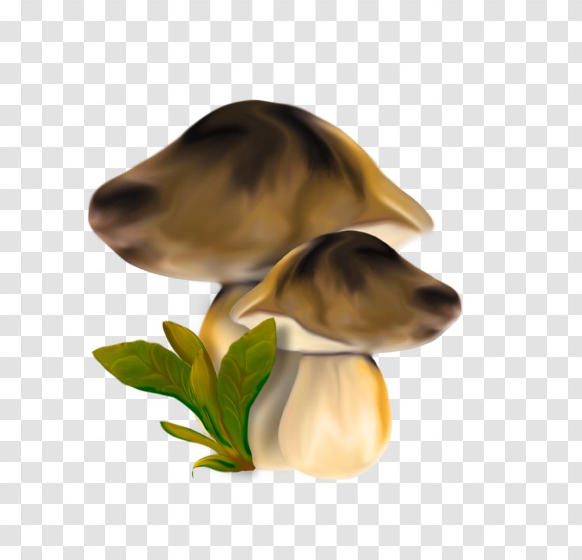 Fungus Edible Mushroom Biology Marasmius Oreades Transparent PNG