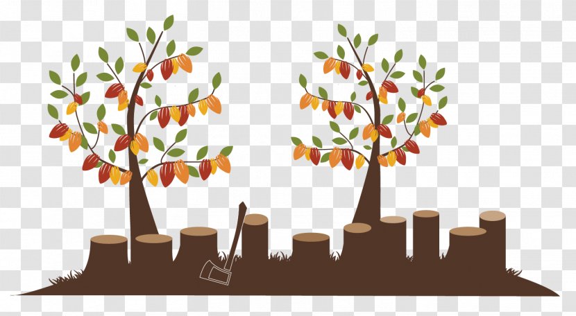 Leaf Clip Art - Plant - Tree Transparent PNG