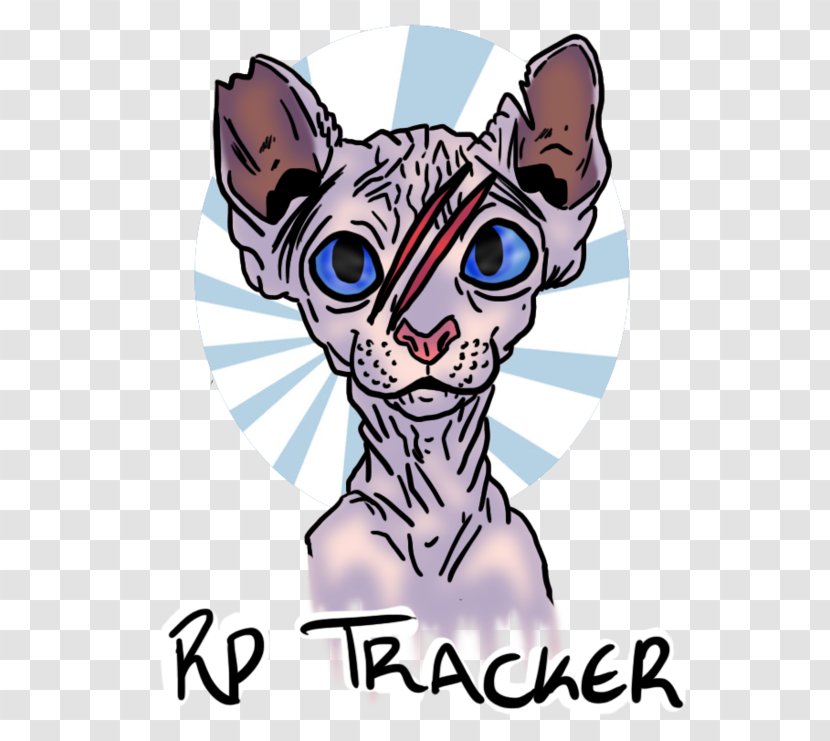 Whiskers Kitten Cat Canidae - Flower Transparent PNG