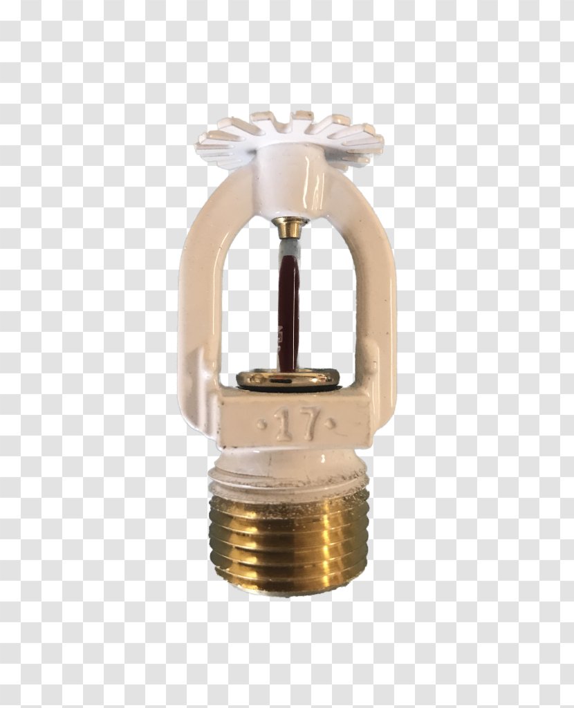 Fire Sprinkler System Protection Engineering National Institute For Certification In Technologies - Technician Transparent PNG