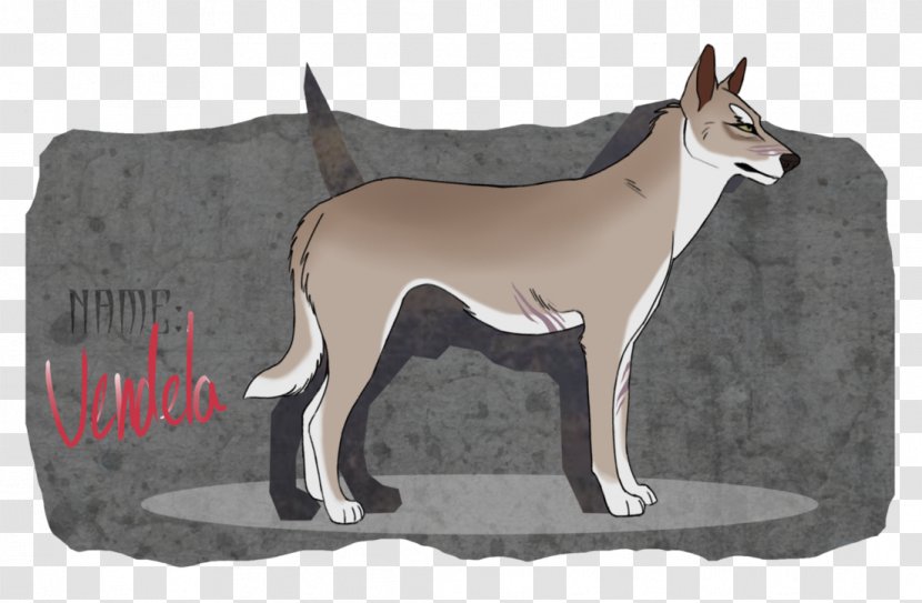Dog Breed Ibizan Hound - Fight Procrastination Day Transparent PNG