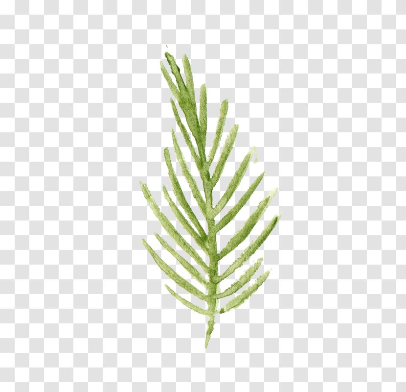Leaf Watercolor Painting - Plant Stem - Green And Fresh Leaves Transparent PNG