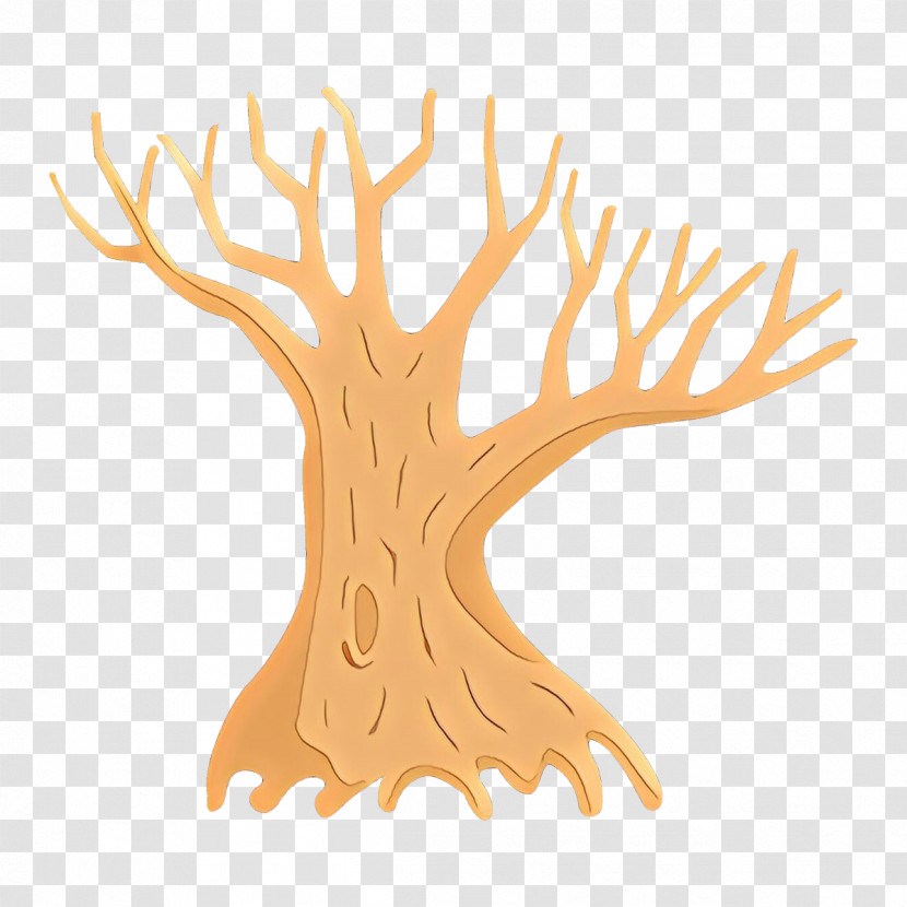 Tree Branch Coral Woody Plant Plant Transparent PNG