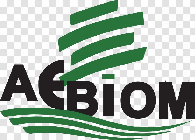 Logo Product Brand Font Green - Text - Barosaurus Illustration Transparent PNG