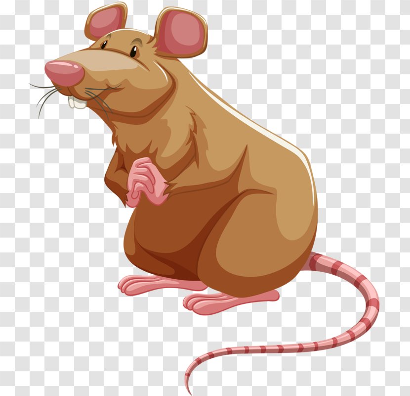 Brown Rat Mouse Laboratory Clip Art - Mammal - Hand-painted Transparent PNG