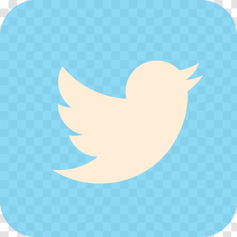Logo Social Media - Twitter Transparent PNG