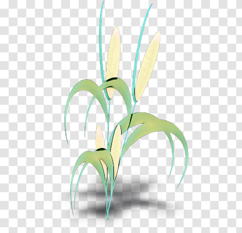 Clip Art Corn On The Cob Plants Leaf - Botany - Flower Transparent PNG