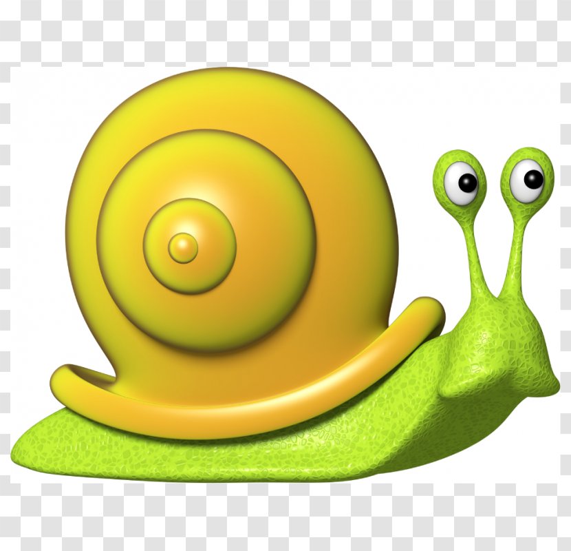 Snail Drawing Escargot Estor Gastropods - Green Transparent PNG
