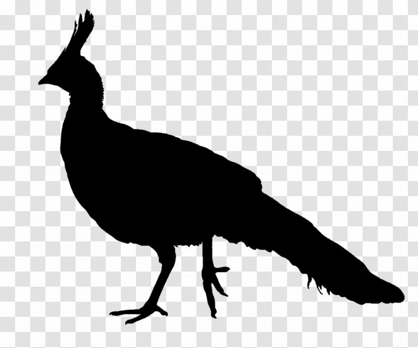 Peafowl Silhouette Bird Clip Art - Fauna Transparent PNG