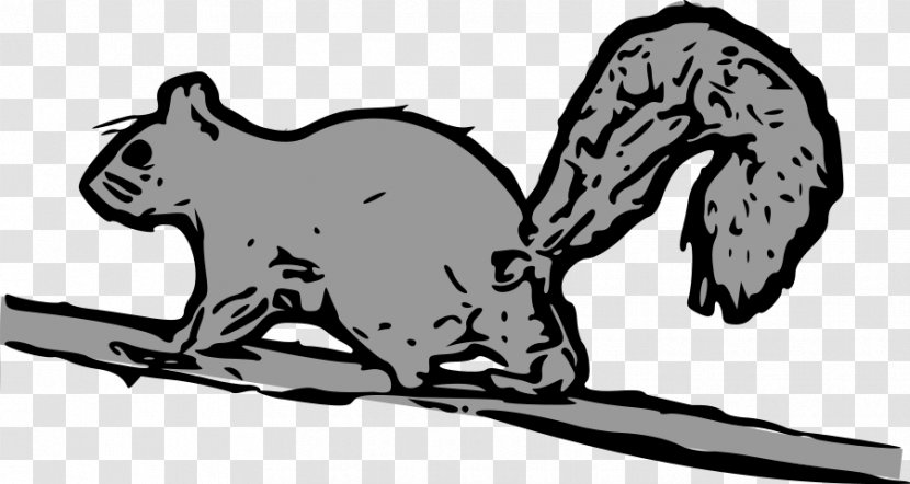 Tree Squirrel Eastern Gray Clip Art - Free Content - Picture Transparent PNG