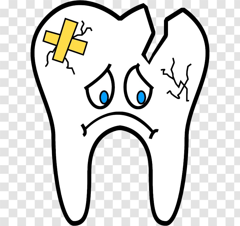 Human Tooth Dentistry Wisdom Dental Extraction - Tree - Fairy Transparent PNG