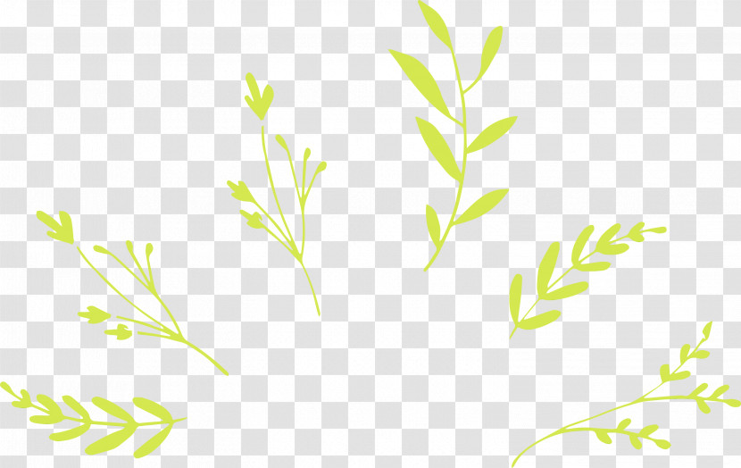 Twig Plant Stem Leaf Grasses Green Transparent PNG