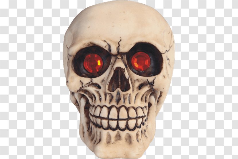 Skull Piggy Bank Skeleton Money - Head Transparent PNG