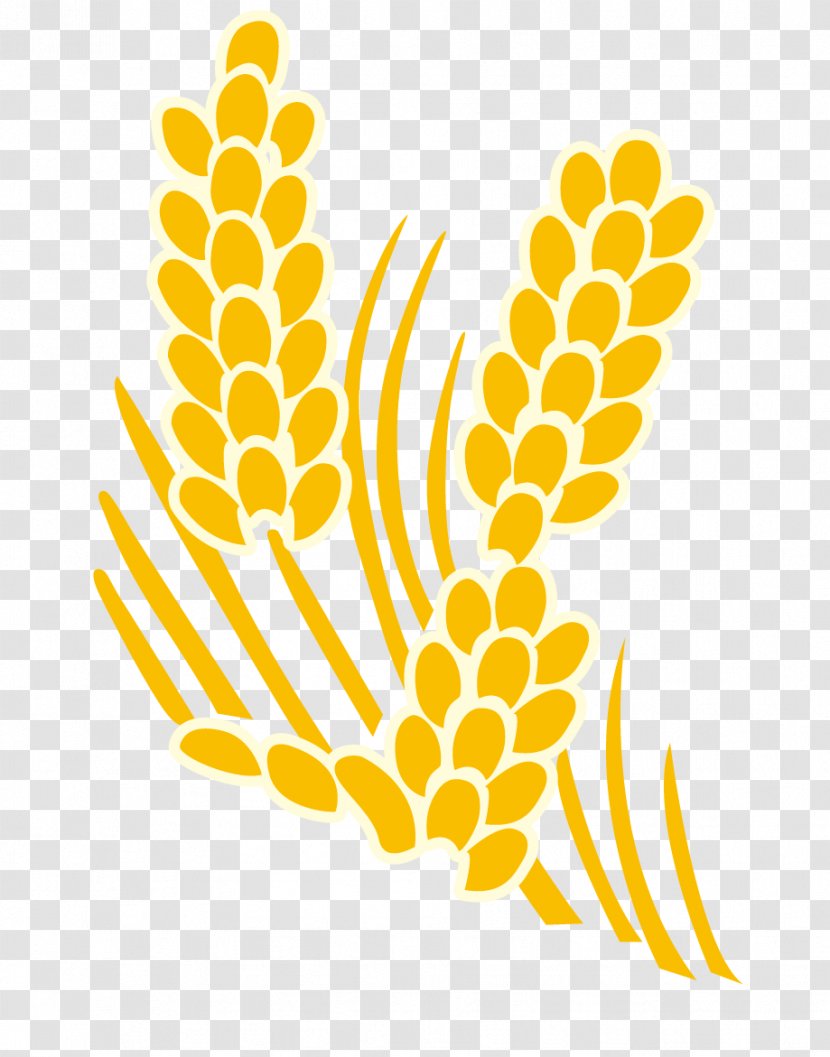 Yellow Rice Clip Art - Point - Vector And Wheat Transparent PNG