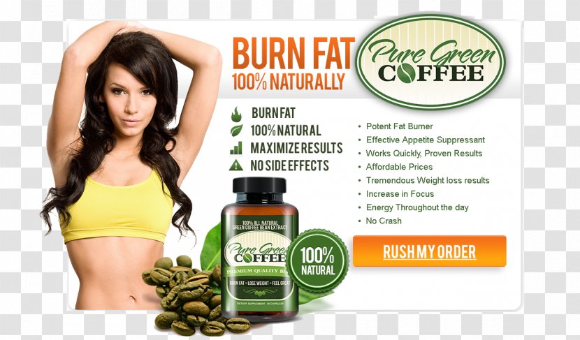 Green Coffee Extract Tea Bean - Herbal Transparent PNG