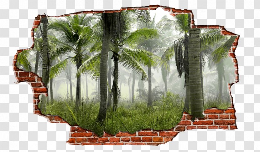 Arecaceae Tree Tropical Rainforest Frond - Forest - Breaking Wall Transparent PNG